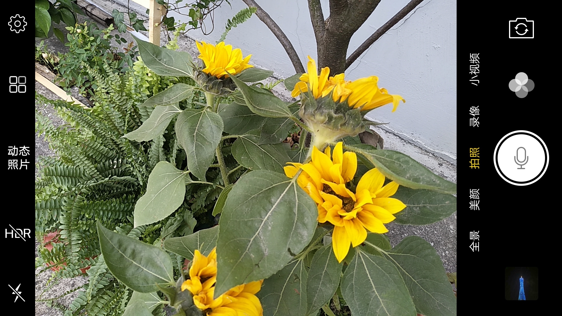 vivox9plus星空灰和黑色哪个好,vivox9星空灰跟金色尺寸一样