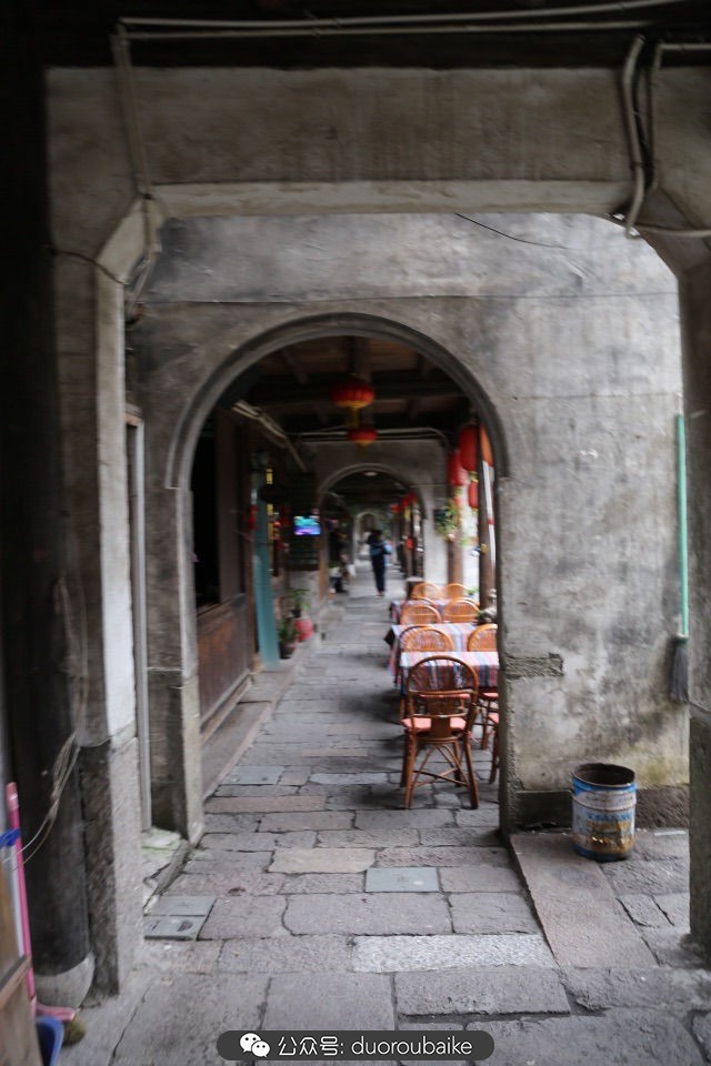 古镇寻肉记:那些旅行中遇见的植物!