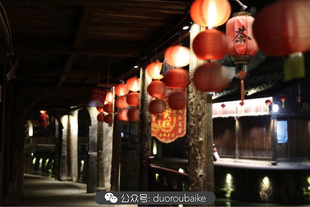 古镇寻肉记:那些旅行中遇见的植物!