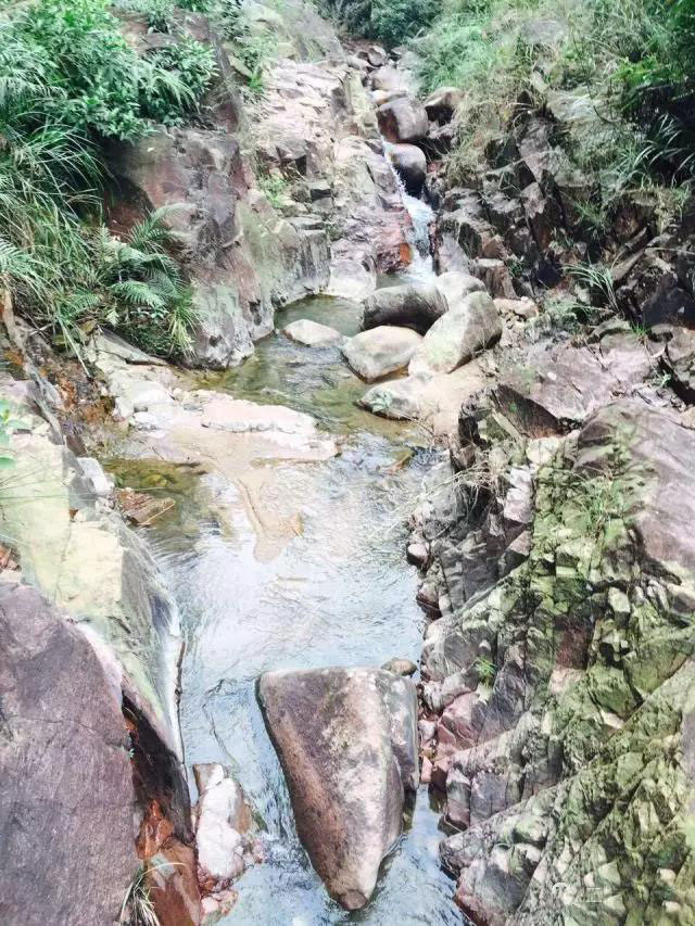 大尖山露营公园图,五桂山山旮旯露营基地