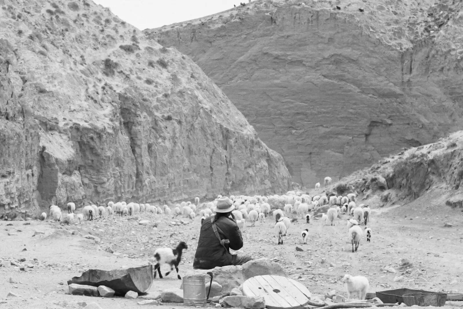 最后的《塔洛》电影沙龙在昆明勇敢举办