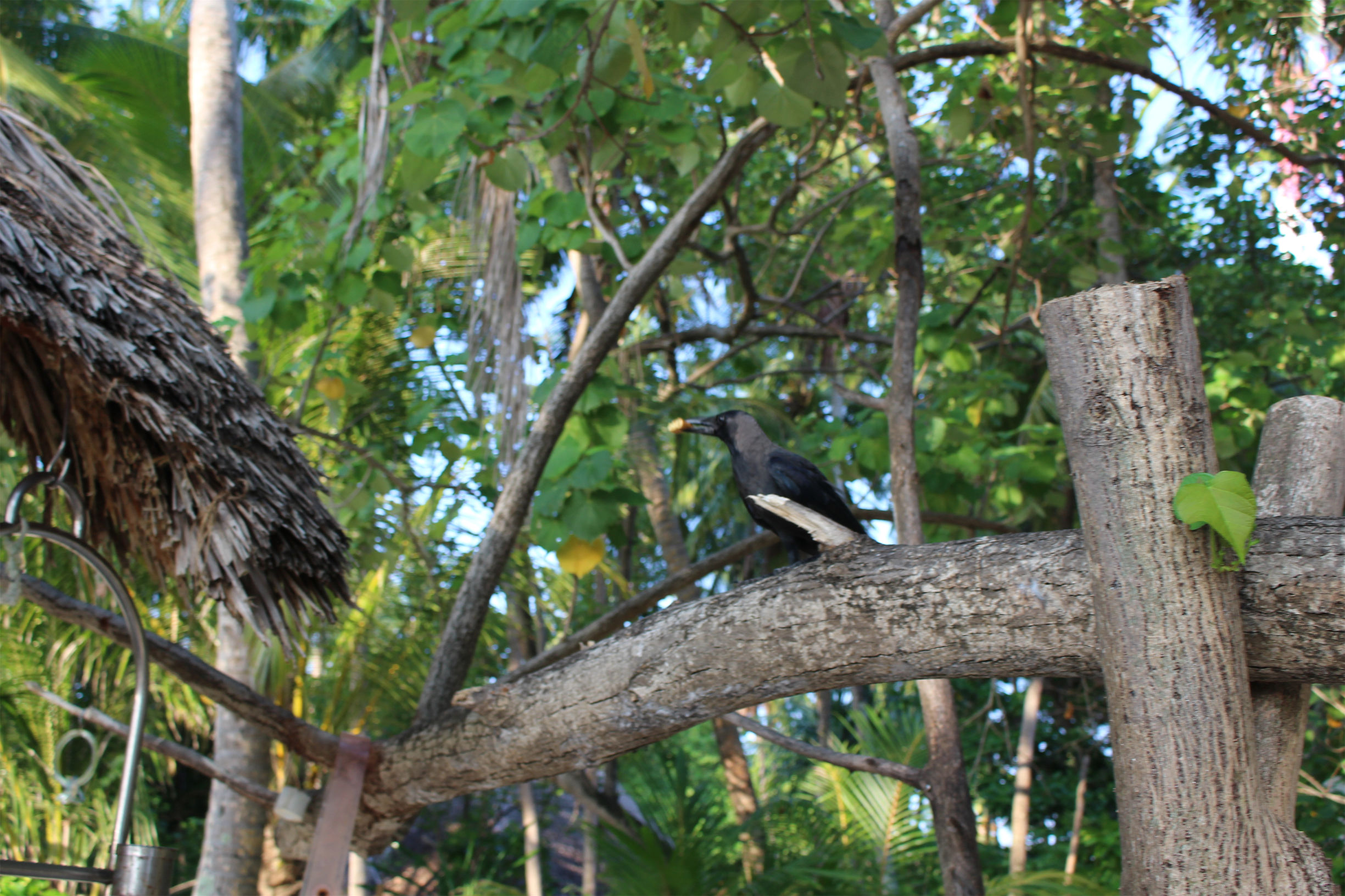 马尔代夫最美景色,最美马尔代夫风景