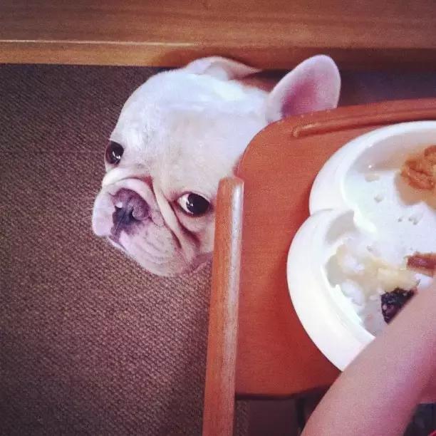 有个喜欢你的女生,有个喜欢的人真好