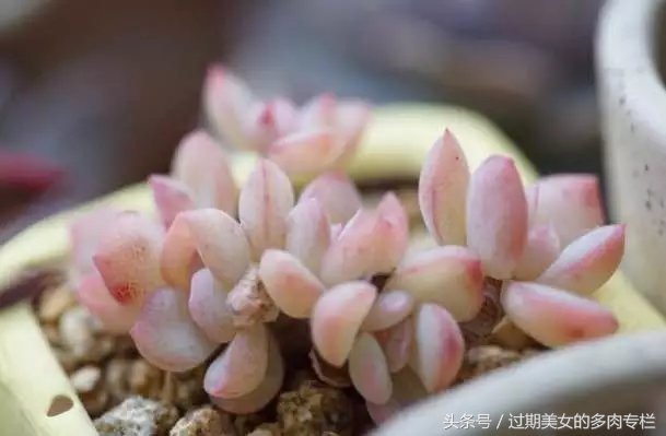 入坑一年小说,入坑一年