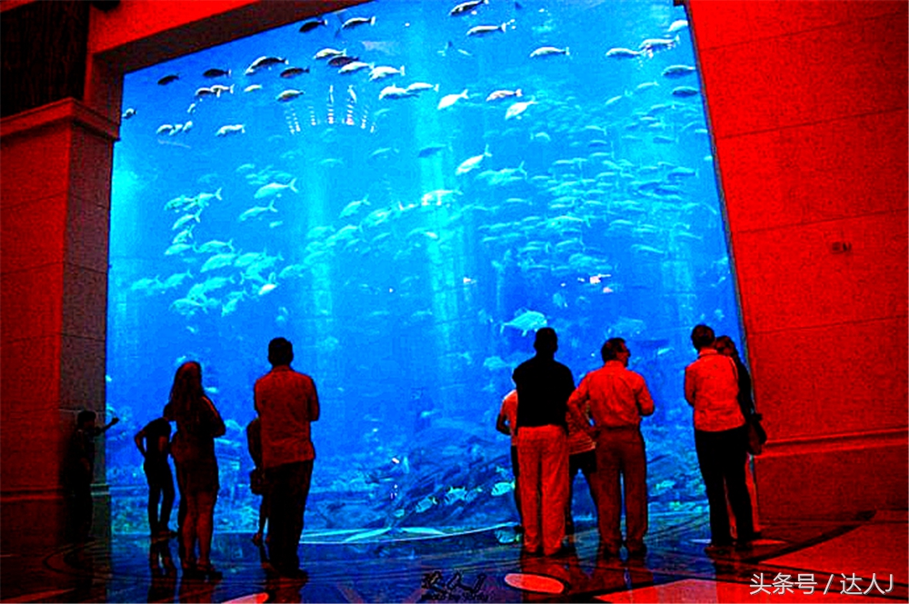 沙漠上的超级绿洲迪拜,迪拜沙漠上的奢华之都