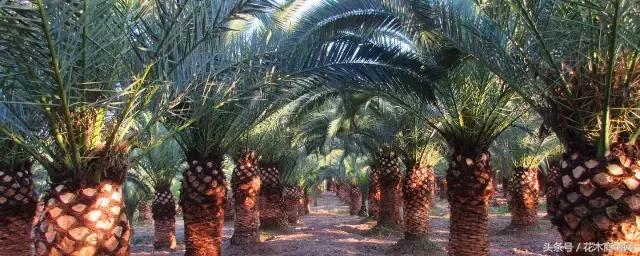 “好苗不愁嫁”,看看房姐如何应对挑剔客户!