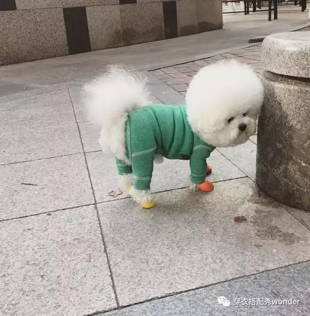 去海边穿搭推荐春季,海岛防晒攻略