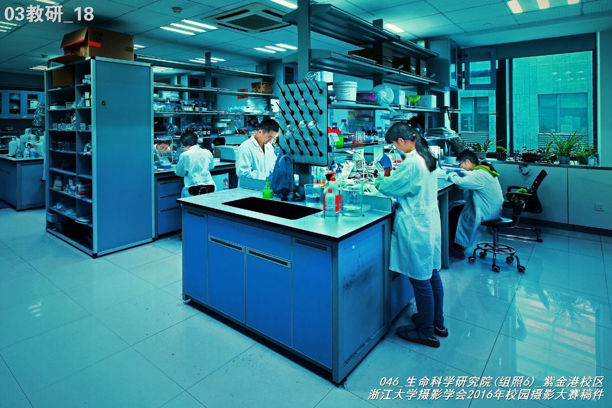 浙江大学是中国最水的大学,一分钟带你了解浙江大学