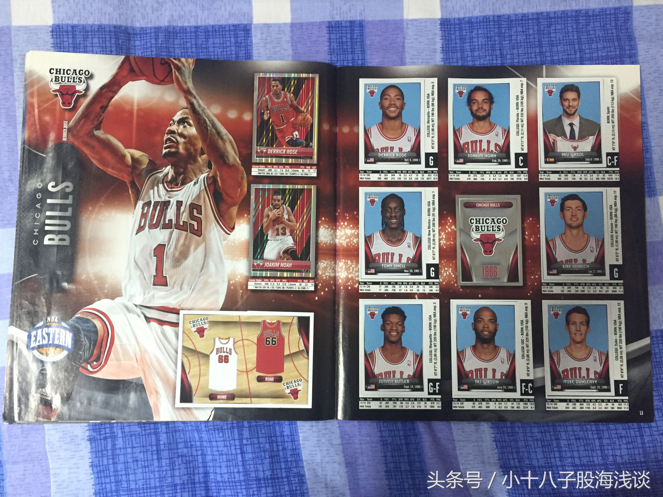 nba帕尼尼贴纸卡,帕尼尼卡塔尔世界杯贴纸版本