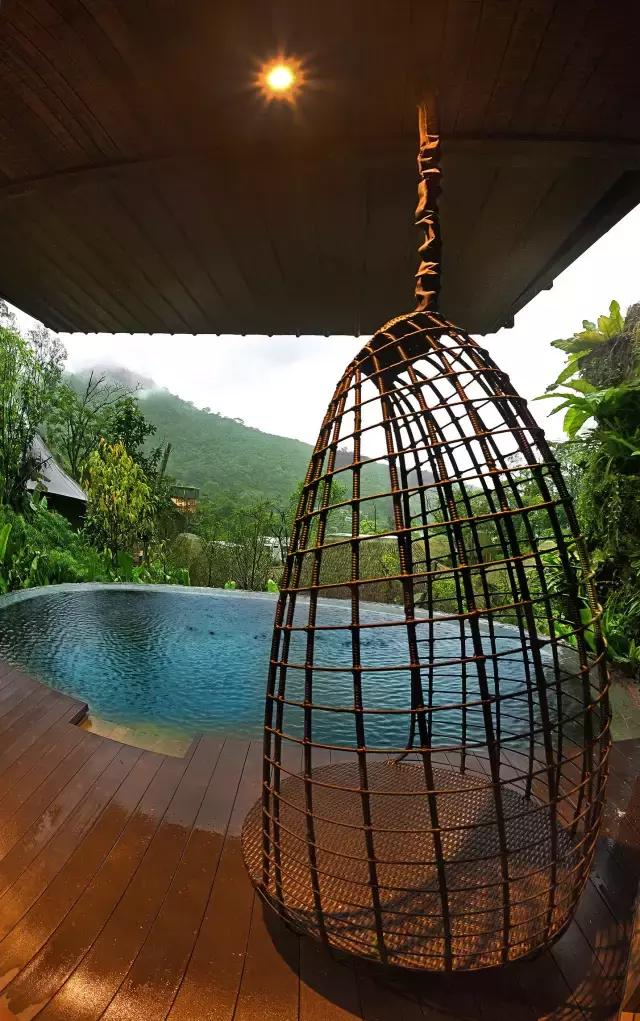 楦熷发搴﹀亣閰掑簵浣撻獙,闅愯棌鍦ㄥ師濮嬫.鏋楃殑娴峰崡楦熷发閰掑簵