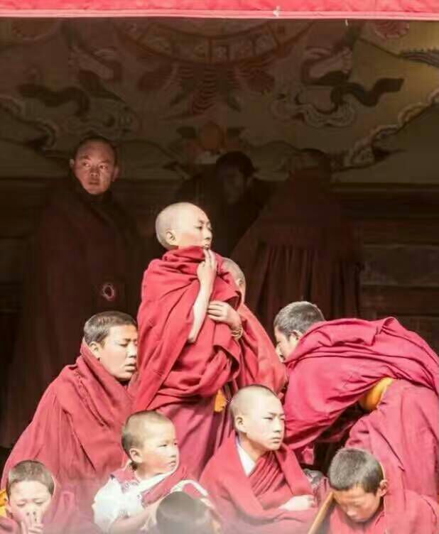 给摄影爱好者的十二条摄影经验,看完这组摄影作品你还淡定吗