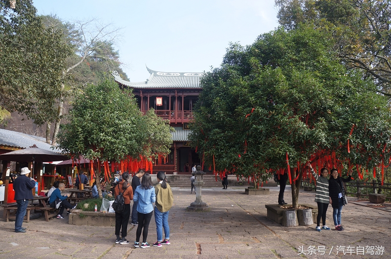 武夷山2日游线路,武夷山两日游团价格表