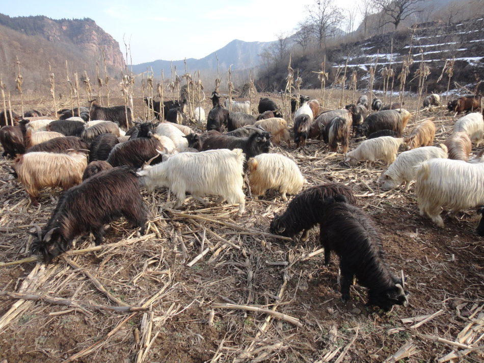 辉县盘上有哪些山,辉县盘上航拍