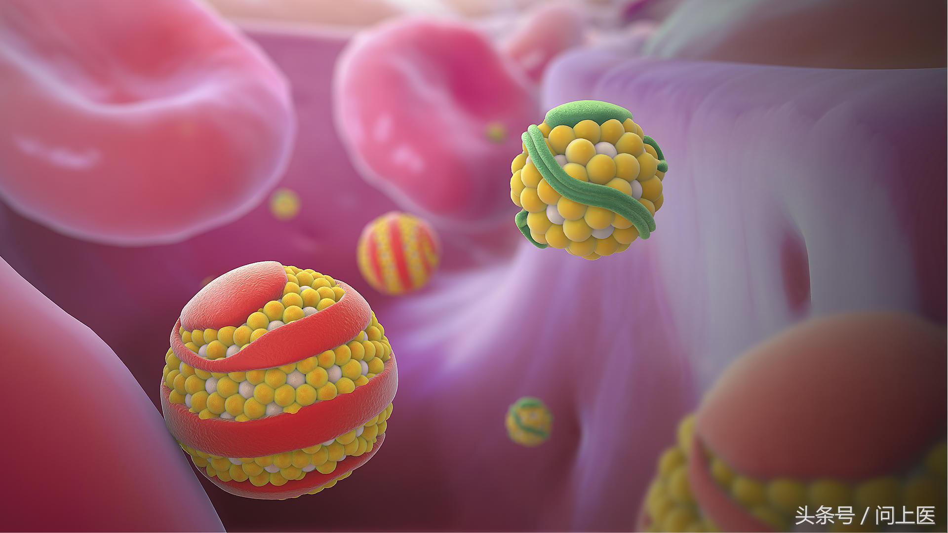 抱子甘蓝迷你小包菜做法,抱子甘蓝迷你小包菜好吃吗