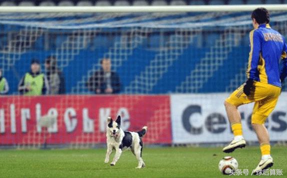 足球趣事大全100个,足球趣事多视频