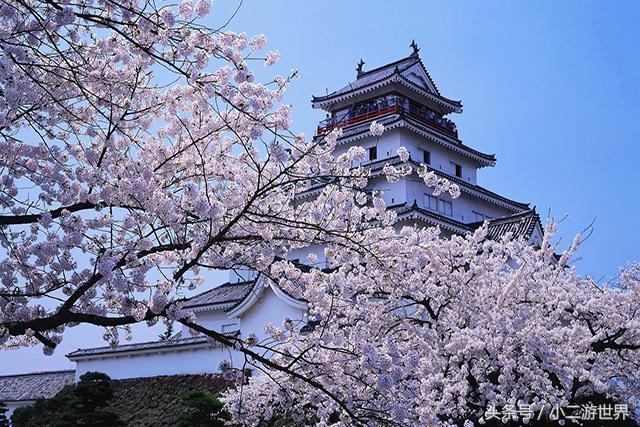 消费税免税店和保税免税店傻傻分不清楚？日本退税全攻略