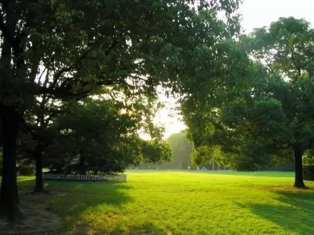 中山公园前生,景山公园的玄机