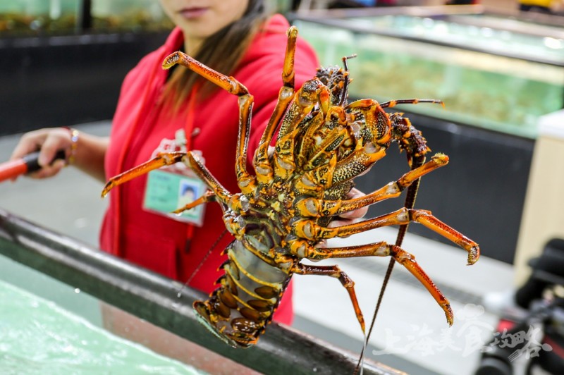 上海河豚料理店,河豚特色料理上海