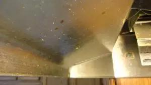 春节大扫除油烟机清洗上门,油烟机清洁妙招大放送