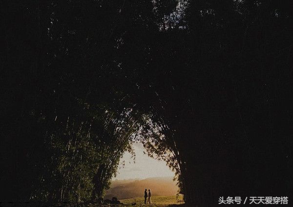 全球最美的十款婚纱照,世界上最惊艳最特别的婚纱照