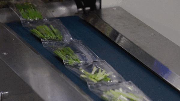 95%的中央厨房都在赔本，餐饮老板你还打算继续跳火坑？