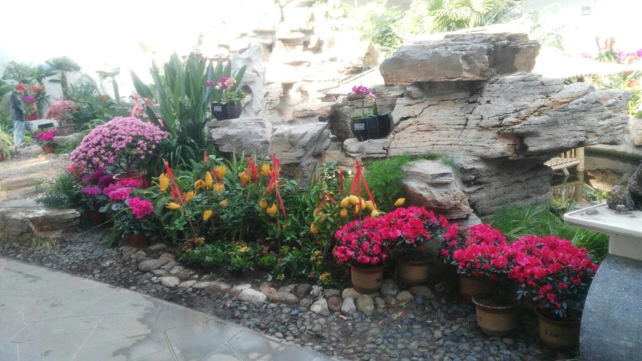 二十四番花信风视频诵读,小说二十四番花信风惊蛰