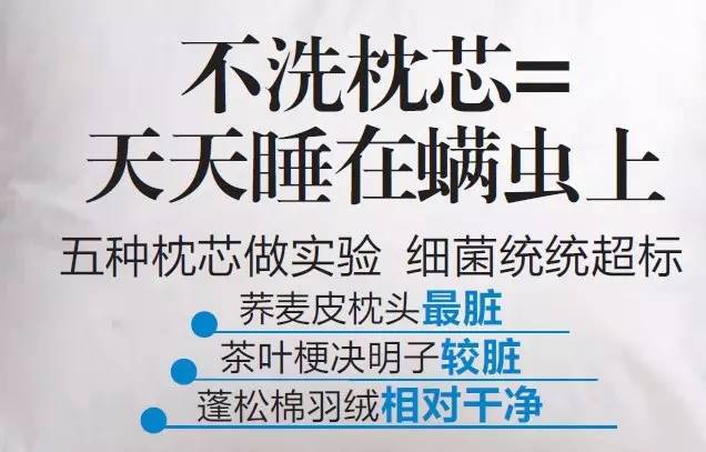 原来每天都和她们睡在一起，你知道吗？