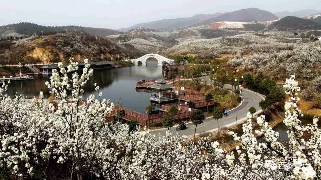 追赶超越促西乡“蝶变”