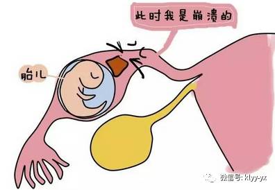 孕期的检查发现促甲状腺激素低,怀孕3个月孕酮低还需要补孕酮吗