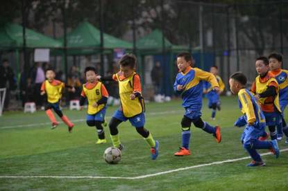 足管中心与足协的区别,足管中心与足协已经剥离了吗