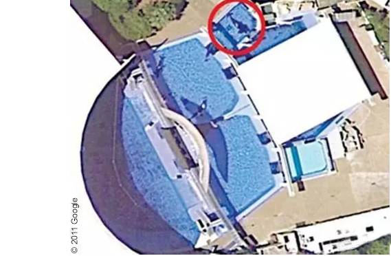 它的死，是给人类一记响亮的耳光