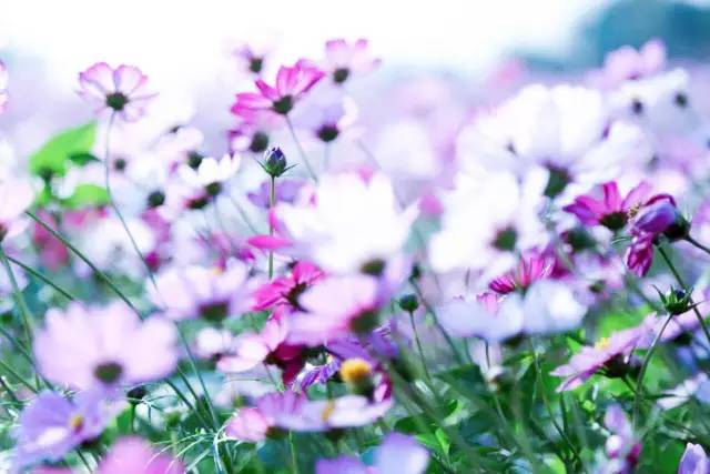 南宁农家乐推荐周边特色农家乐,南宁良庆区哪里有好的农家乐