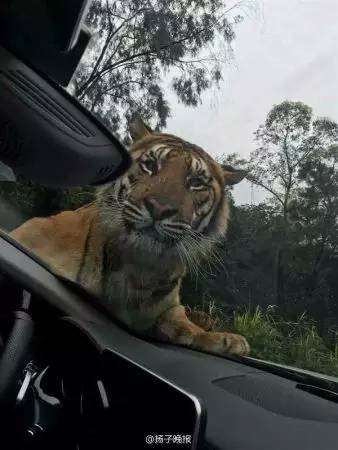 早报|啥?日本邀请中韩联合申办世界杯?