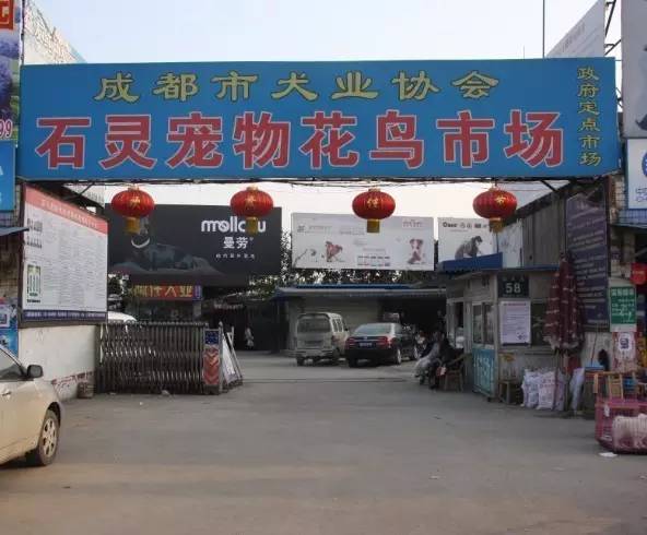 成都年货必备清单一览表,成都年货采购攻略