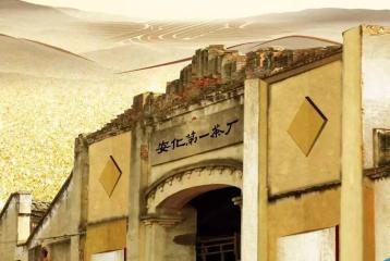 安化黑茶故宫贡茶,故宫收藏的安化黑茶