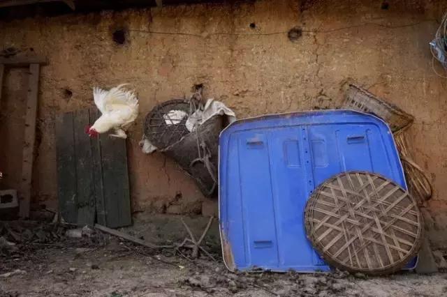 李劲松昭通,昭通李劲松