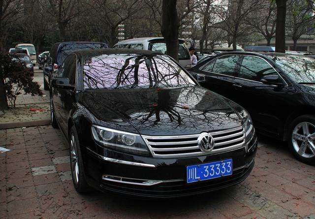 *萨特帕**凭什么挂百万车牌，车主冷冷的说：你见过12缸的*萨特帕**？