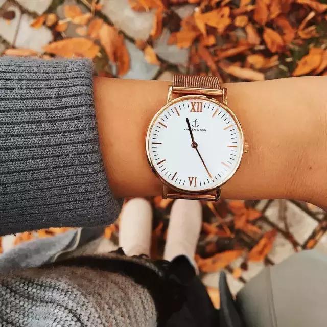 小众手表品牌排名大全,新加坡小众品牌手表