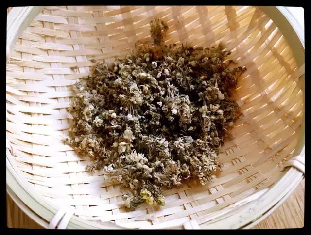 当我第一次带姥爷去旅行,跟姥爷来一场说走就走的旅行