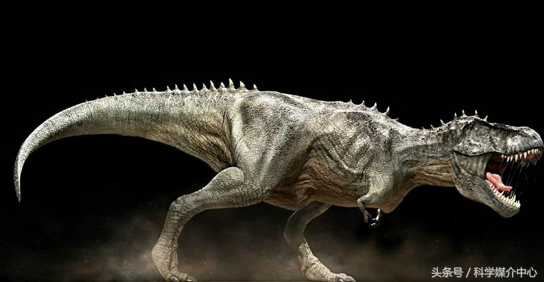 食草恐龙有什么种类,中国棘龙科恐龙种类