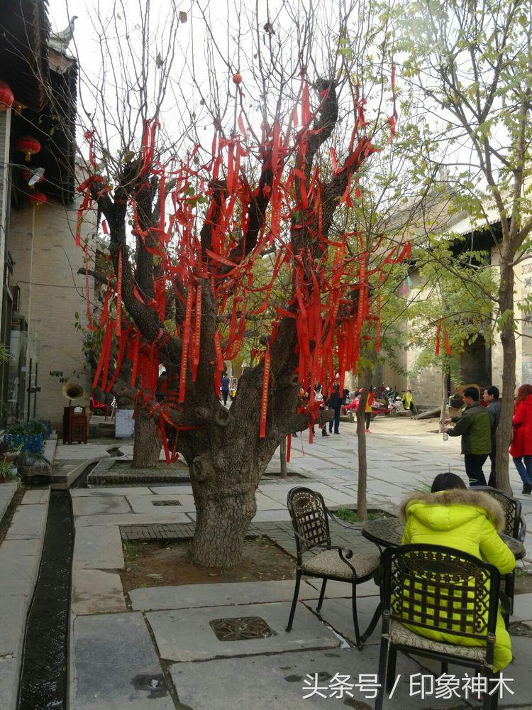 陕北俊俏女子勇闯袁家村大嘴吃四方