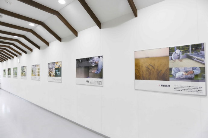 初冬九州温泉旅游攻略,与闺蜜冬日游山庄