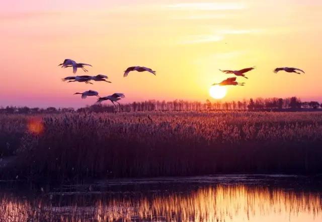 春节十大旅游首选地,春节旅游必去十大景点推荐