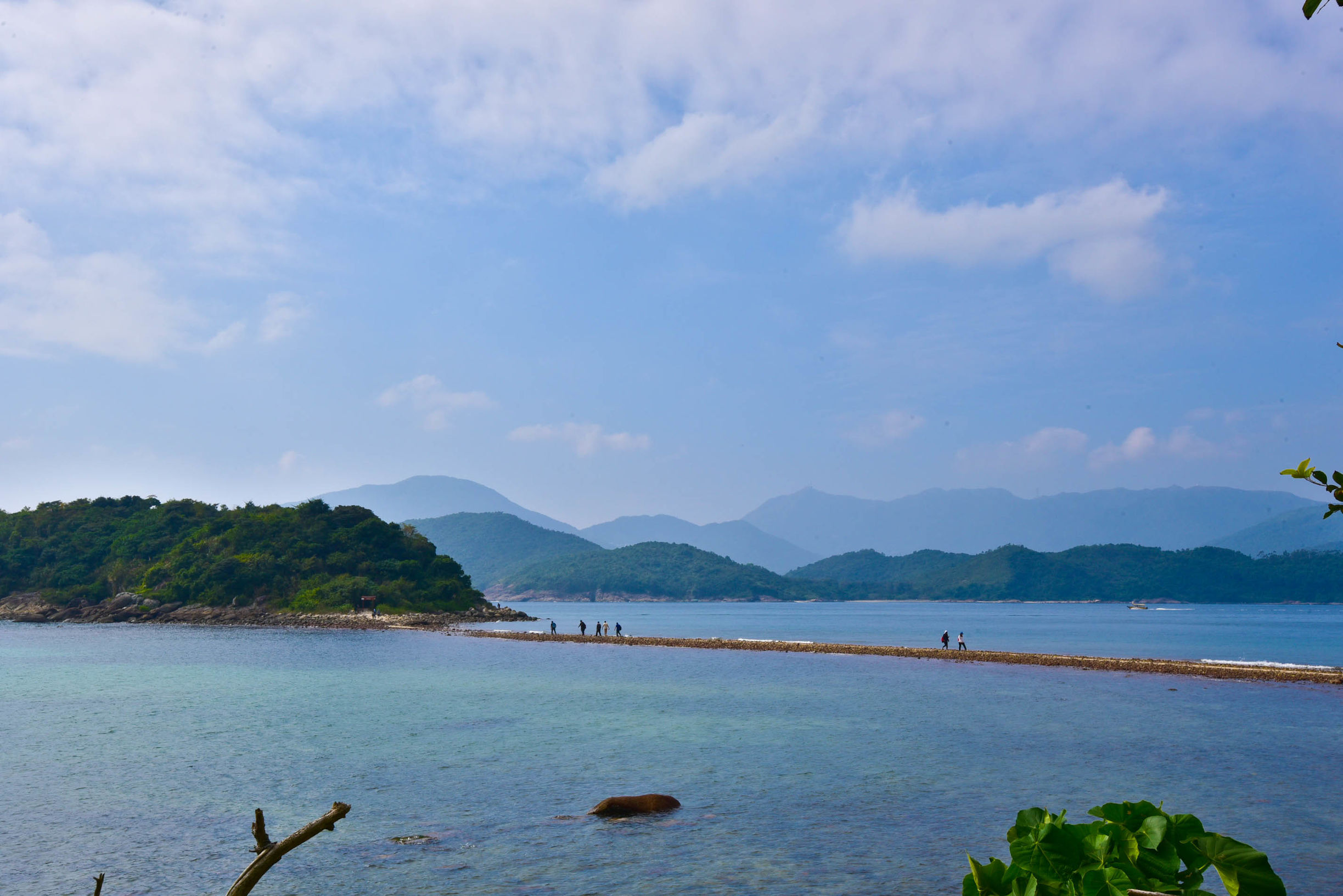 兔子游日本,兔子海边旅行记