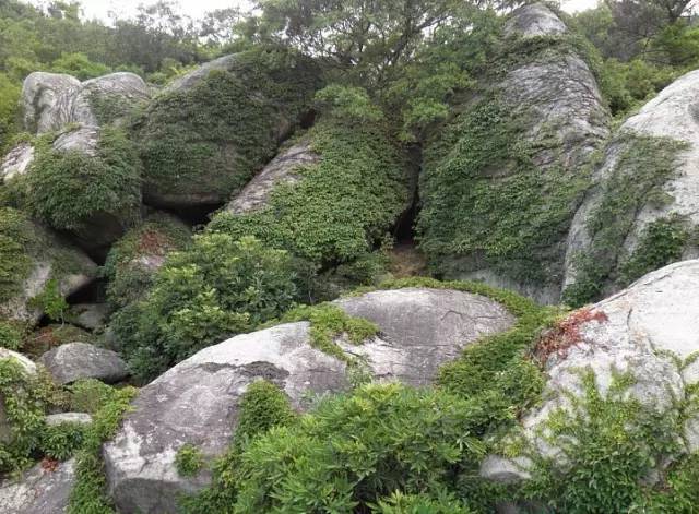 厦门有哪些山峰,厦门哪些山可以爬的