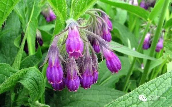 居家皮肤如何做好清洁和补水,生活小妙招修复皮肤