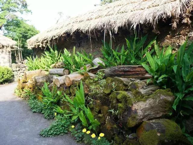 买特价飞机票攻略,买特价机票注意事项