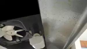 春节大扫除油烟机清洗上门,油烟机清洁妙招大放送