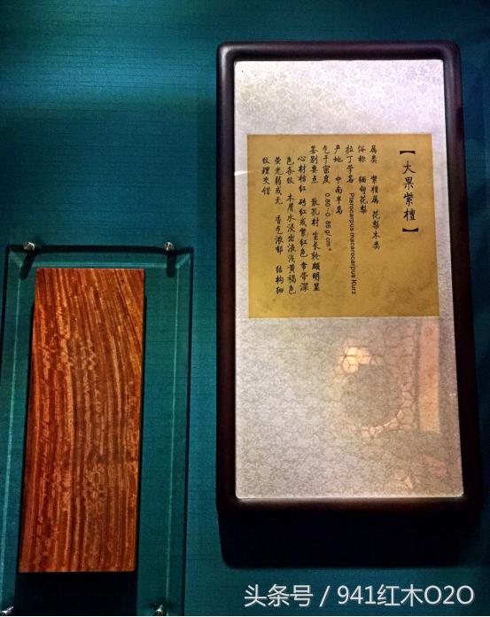 大果紫檀和刺猬紫檀,大果紫檀和刺猬紫檀瘤疤料区别