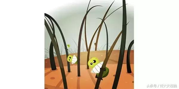 在公厕坐便会传染病菌吗,公共坐便传播什么